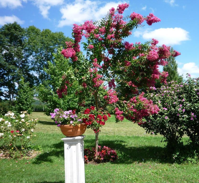 مبيت وإفطار Saint-Arroman  Domaine Vega المظهر الخارجي الصورة